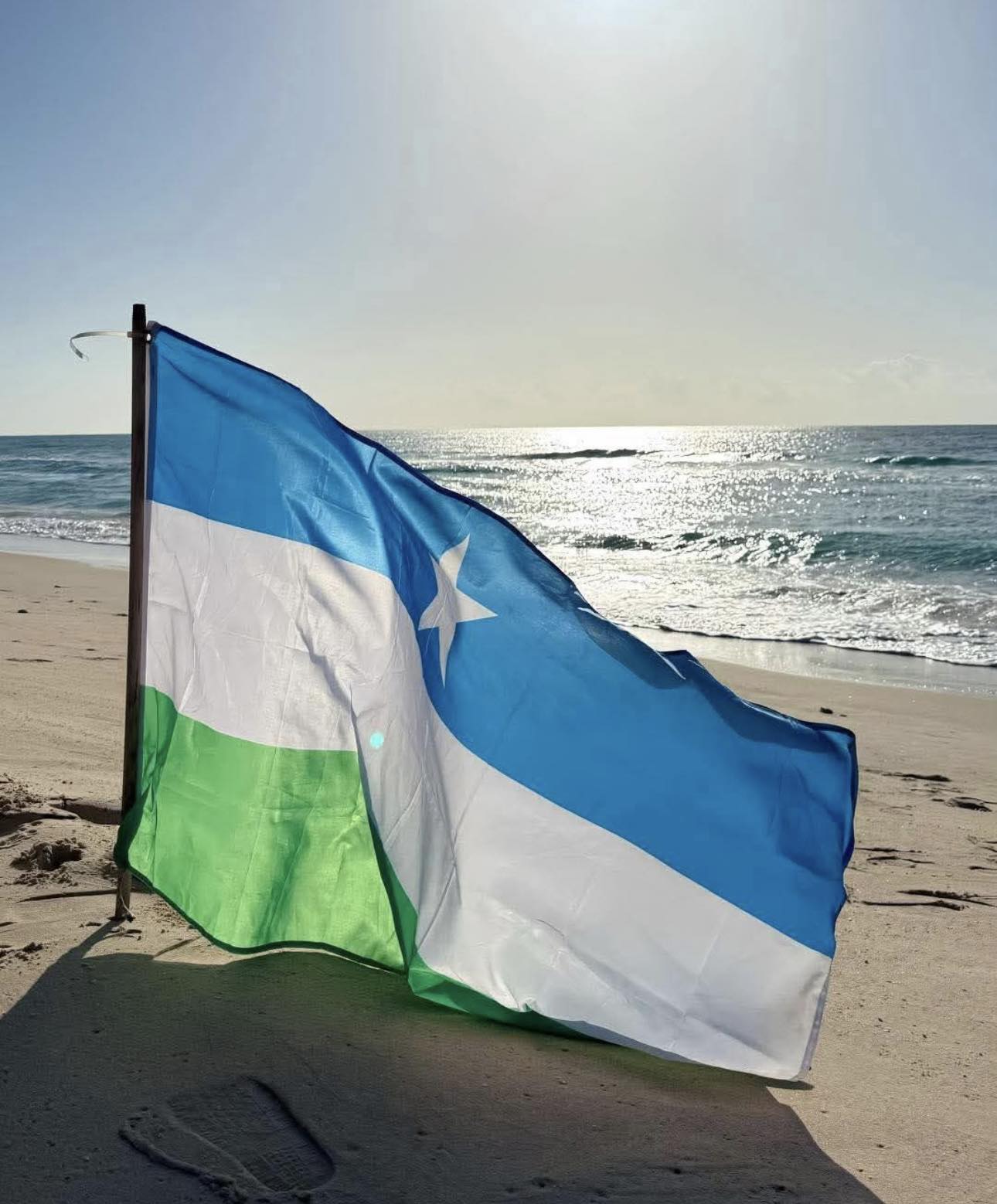 Caqabadaha Hirgelinta Federalism-ka Soomaaliya: Falanqayn Cilmiyeed